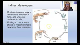 Subphylum Crustacea (Zoology)