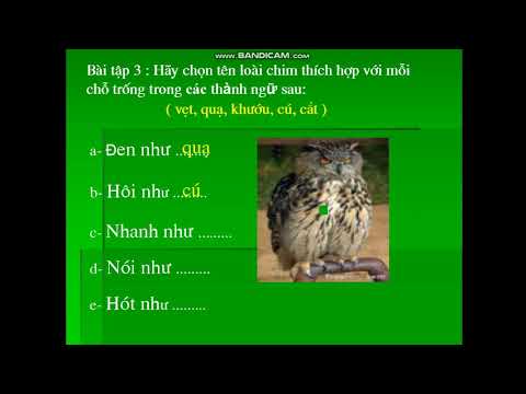 LTVC lớp 2 bài MRVT về loài chim. Dấu chấm, dấu phẩy (Tuần 22)