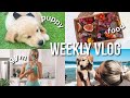 [WEEKLY VLOG] Our first week with Simba!