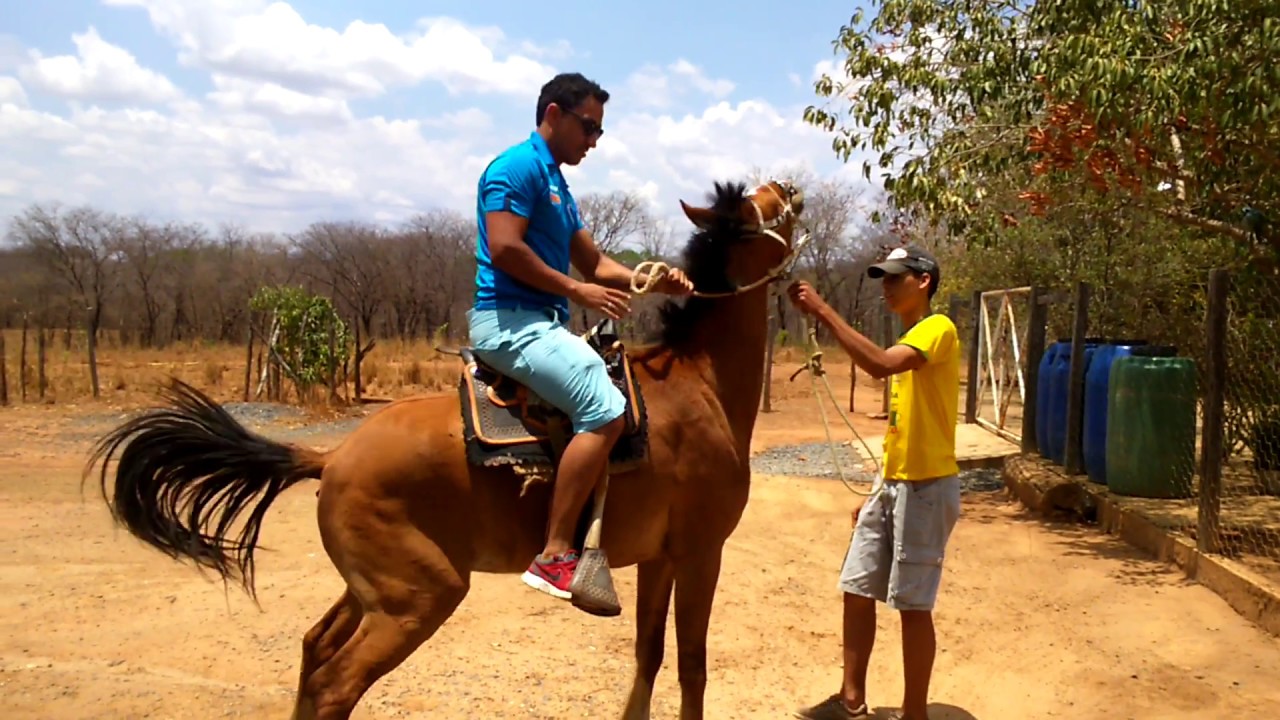 COMO SUBIR NO CAVALO PULANDO 