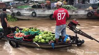 Monoculture and the Global Food System