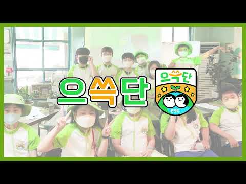 [ESG으쓱단] 그 많던 꿀벌이 다 어디갔을까? ㅣ4차 정기위원회 스케치