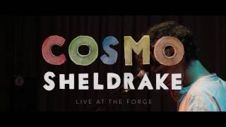 Cosmo Sheldrake - Live Improv in London - Track 1 chords