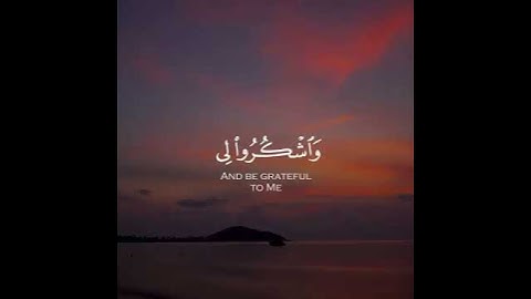 القارئ عبد الرحمن مسعد سورة (البقرة)