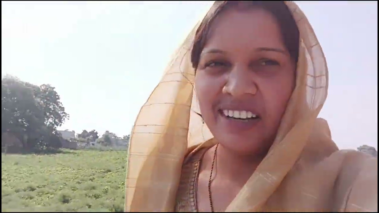 आज हमने प्याज की पौध लगाई