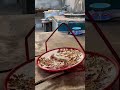 凤凰涅槃:景泰蓝凤凰盘惊艳现身