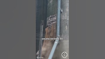 Silo Collapses in Seconds — Workers Capture the Moment! 😱Dramatic footage!