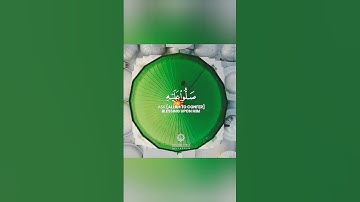 ان الله وملائكته يصلون على النبي 🍁تلاوة خاشعة تبكي القلب 😢بصوت جميل جدا حالات واتس 😭💚🍃 Quran status