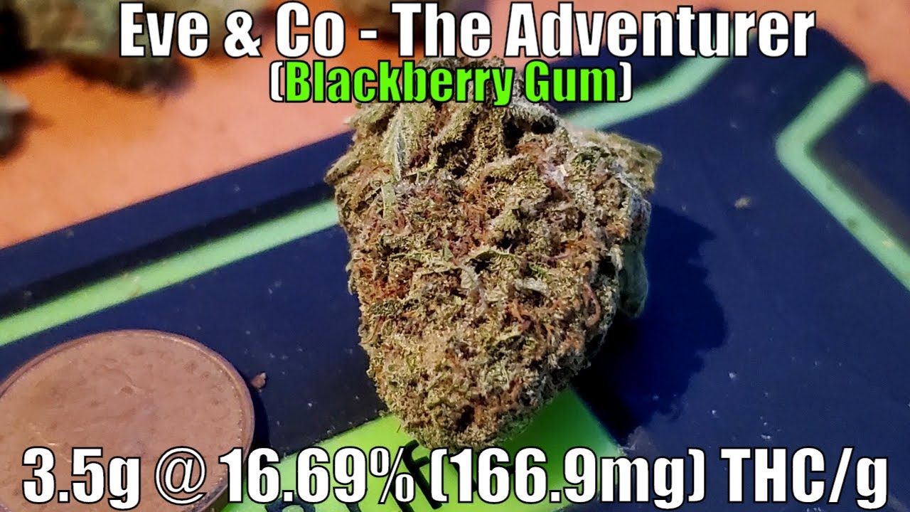 Eve & Co - The Adventurer - Unboxing Review - 3.5g @ 16.69% (166.9mg) THC/g (+Extreme Closeups)