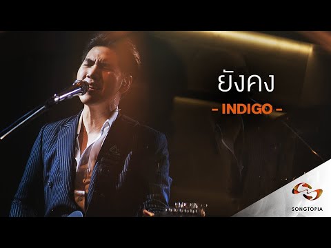ยังคง - Indigo | Songtopia Livehouse