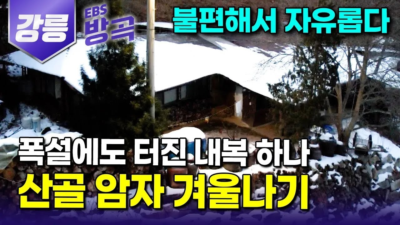 [강원 강릉] 식수 하나 얻기도 고된 해발 1,458m 산골짜기 화전민 터로 홀로 들어가 30년째, 테이프로 감은 옷 한 벌에 감사하며 겨울을 나는 스님｜#한국기행 #방방곡곡