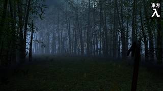 Lambda Core - Unknown Guest Part III (Bamboo Forest - final version)