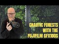 How to photograph chaotic forest scenes with the FujiFilm GFX100s