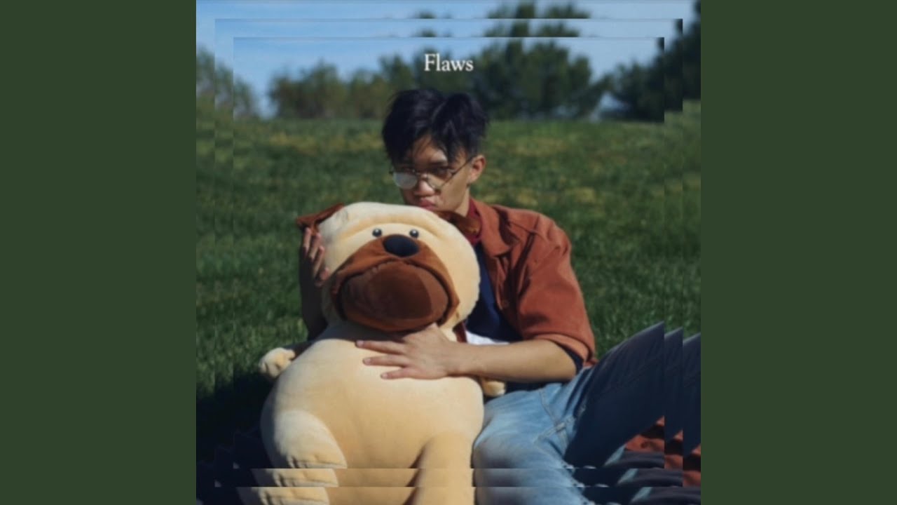 Watch Flaws on YouTube Watch Flaws on YouTube