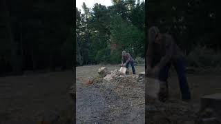 Echo 800p Power Saw, 33 Oak Stump
