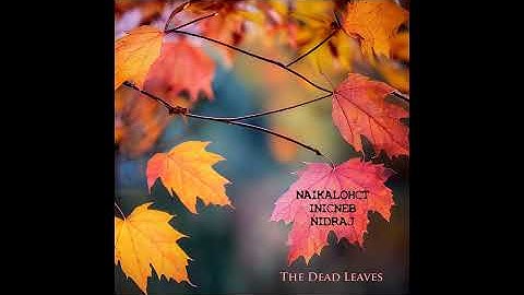 The Dead Leaves