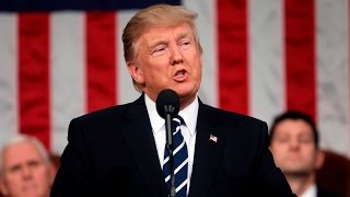 Celebrity Fact-Checking Trump's Speech To Congress Net Worth