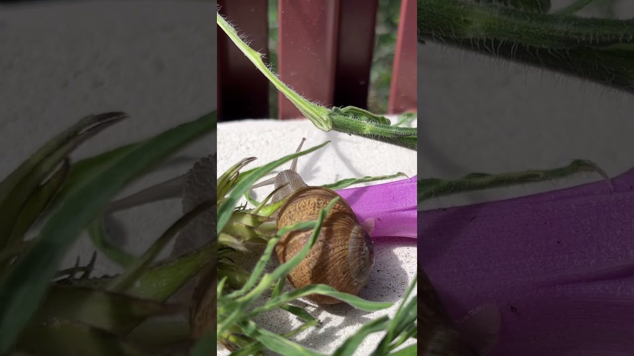 Leaving a trail…of love 