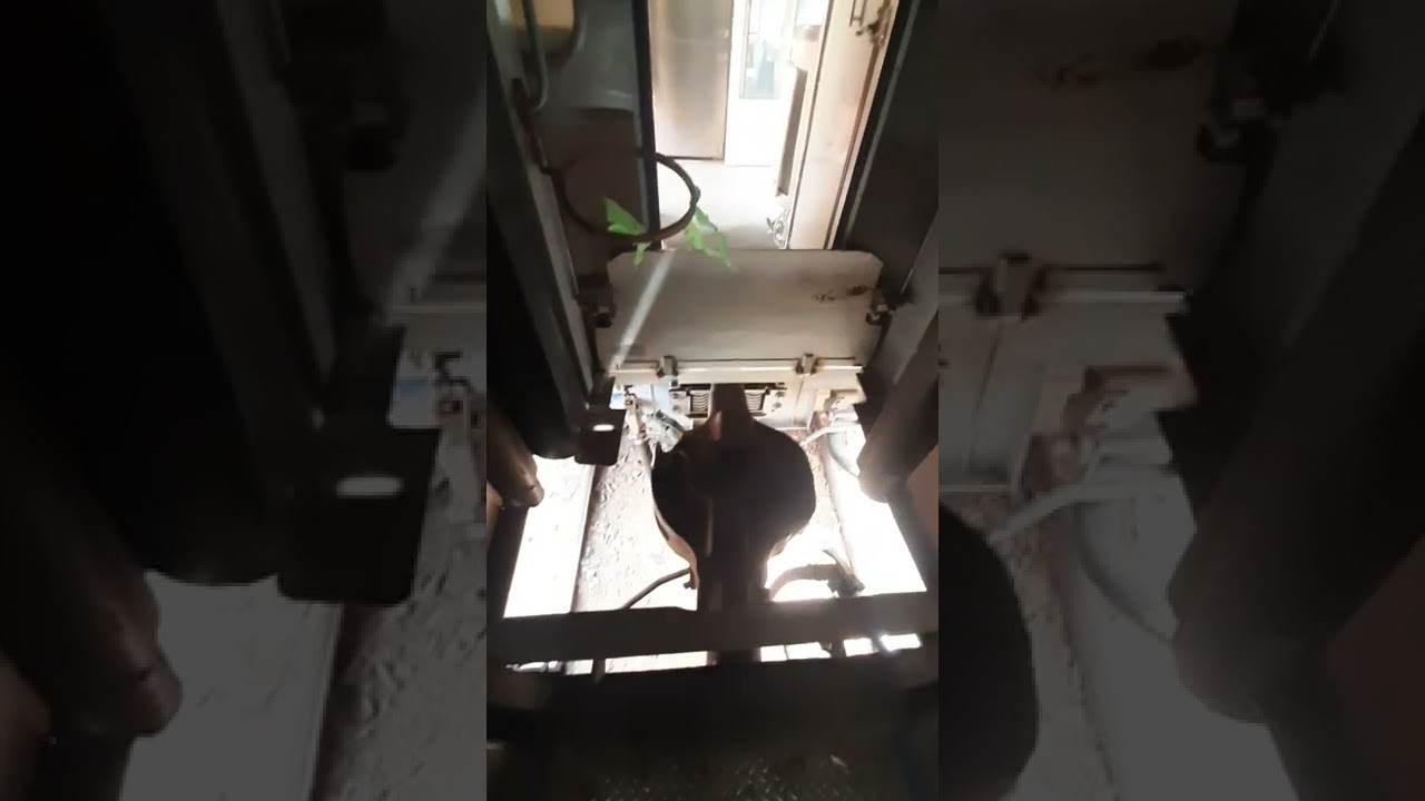 How to joint two coach of train.