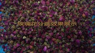 Rose color sorting by Meyer