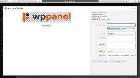 How to Use Your Media Library on WordPress - Find photos and files on your website | WP Panel