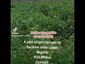 A PLOT OF LAND FOR SALE AT BUCKNOR ISOLO LAGOS NIGERIA A PLOT OF LAND FOR SALE AT BUCKNOR ISOLO LAGOS NIGERIA