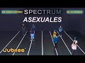 ¿Todas las Personas Asexuales Piensan Igual? | Spectrum | Jubilee en español