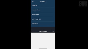 How to delete Alexa voice recordings
