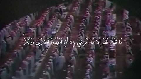 ‎سورة المائدة الآيات 116-118 | الشيخ محمد أيوب
