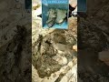 How Does a Drill-Powered Mortar Gun Work?