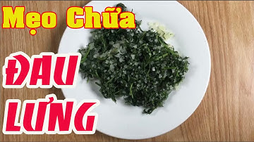 Mẹo chữa đau lưng bằng lá ngải cứu cực kỳ hiệu quả [Sức khỏe]