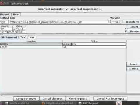 Webgoat - HTTP Basics