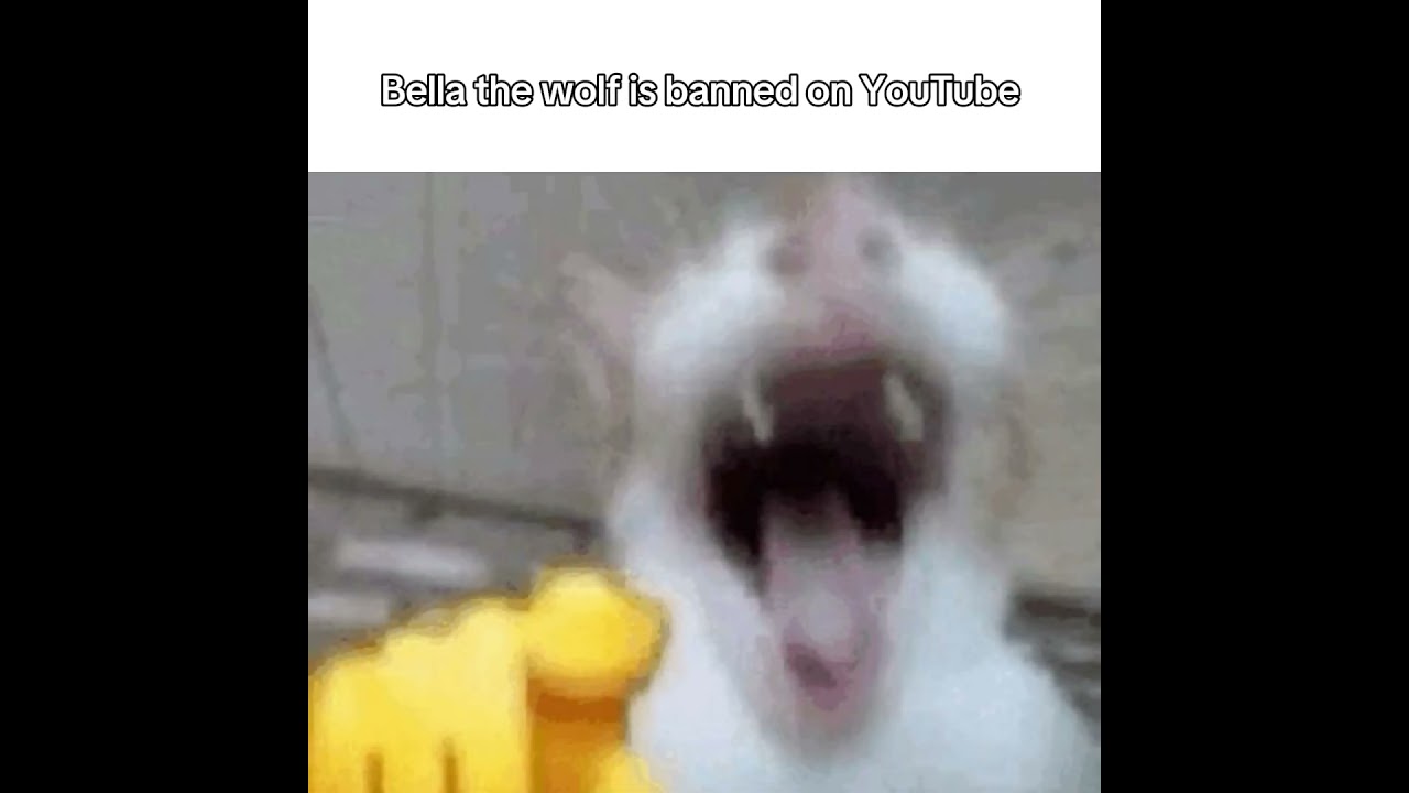 If Bella the wolf was banned