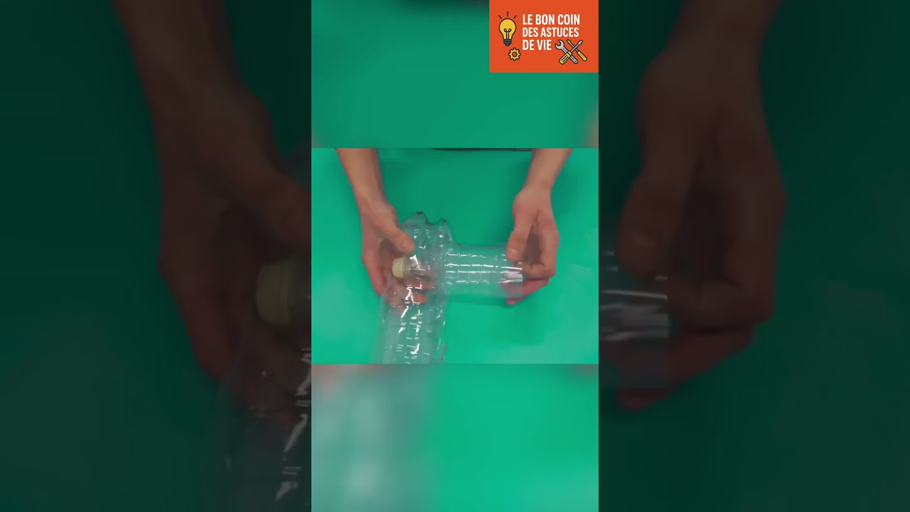 DIY Fly Trap: Cut Bottle, Stick, Pine Cones - Bye Bugs! 