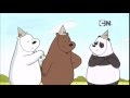 Ice Bear - Congratulations