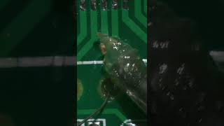 Pad ripped off the PCB – can I fix it? 😳
