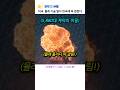 미국, 몰래 기술 털다 한국에 딱 걸렸다