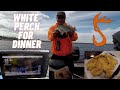 White Perch For Dinner (Catch, Clean and Cook)
