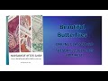 Beautiful Butterflies Online Class to Go 21 - 26 July 2025