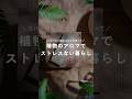 植物のアロマでストレスない暮らし #PR #観葉植物