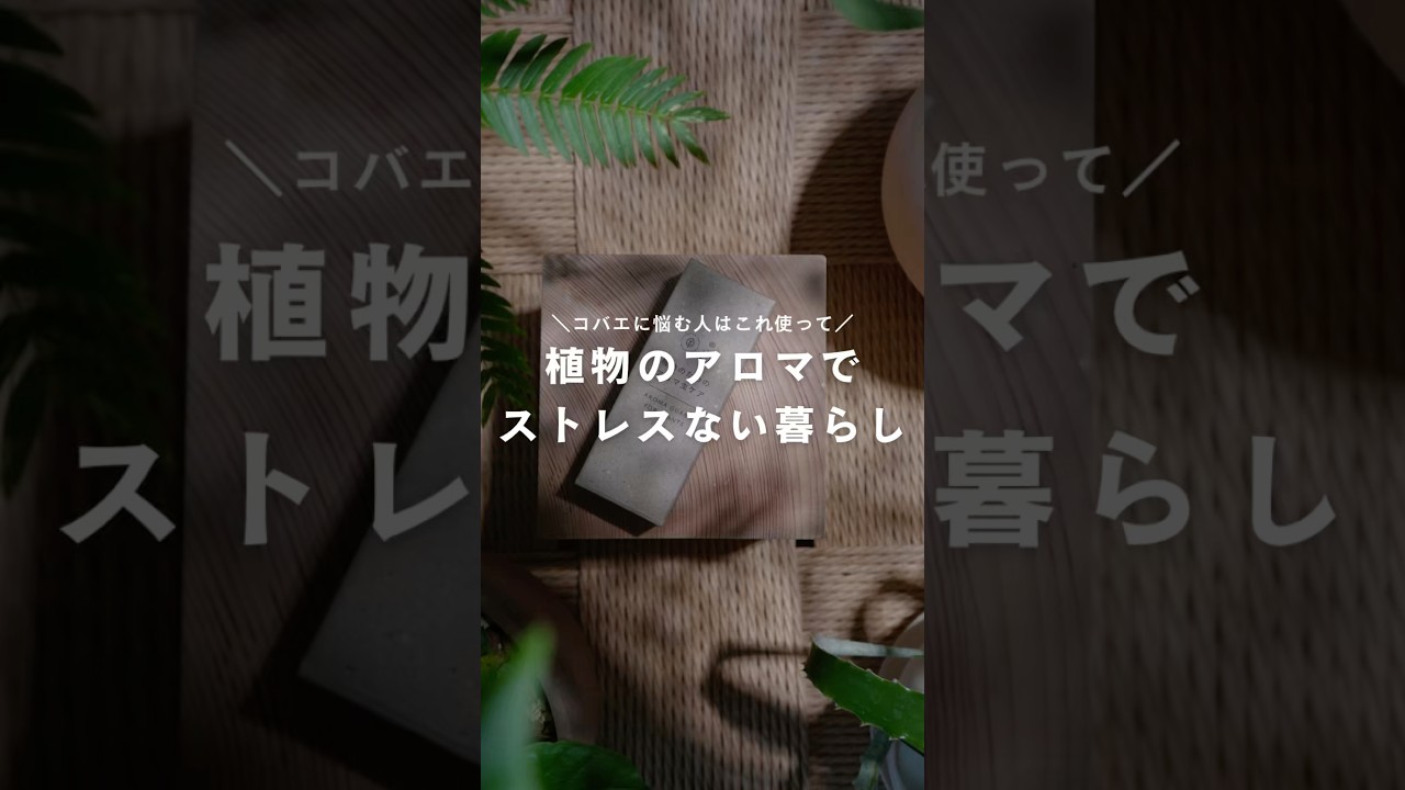 植物のアロマでストレスない暮らし #PR #観葉植物