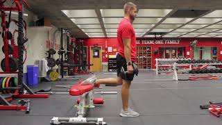 DB RFESS (Rear Foot Elevated Split Squat)