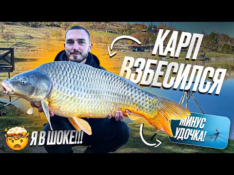 Late Autumn Madness: Carp don't let you catch your breath!!!