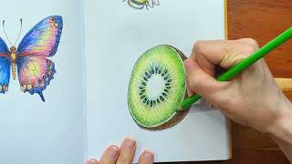 How to Color a Kiwi Fruit 🥝✨ | Realistic Colored Pencil Coloring Tutorial Sundana Coloring screenshot 1