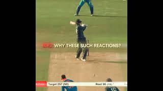 Coldest Celebration 🥶|Joe Root| #cricket #worldcup #shorts
