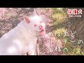 中々心の整理がつかず、お知らせするのに半年かかってしまいました