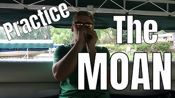 The Goose Moan for 90 Seconds to Help You Practice Goose Calling