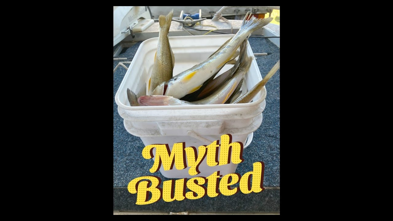 Another Fishing Myth Busted