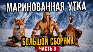 Маринованная утка. Большой выпуск часть 3