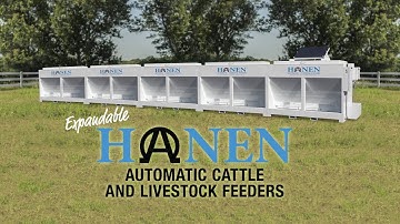 The Expandable Hanen Automatic Cattle Feeder
